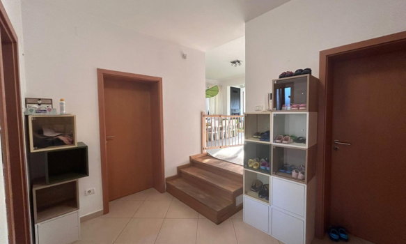 Intare-gradinita-sunkids-din-dumbravita